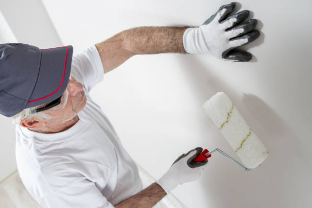 Best Biohazard Mold Removal  in Kalida, OH
