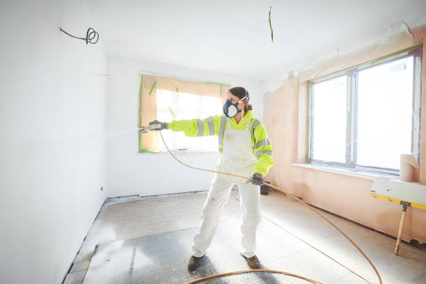 Best Asbestos and Lead Testing During Mold Inspection  in Kalida, OH