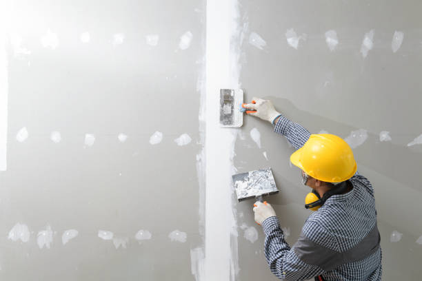 Asbestos and Lead Testing During Mold Inspection in Kalida, OH
