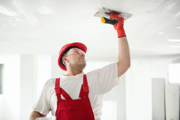 Best Post-Remediation Verification Testing  in Kalida, OH