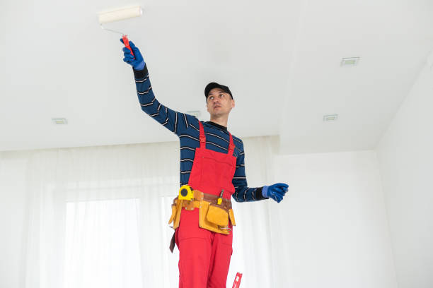 Best Indoor Air Quality Assessment  in Kalida, OH