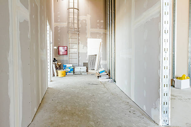Best Air Quality Testing for Mold Spores  in Kalida, OH