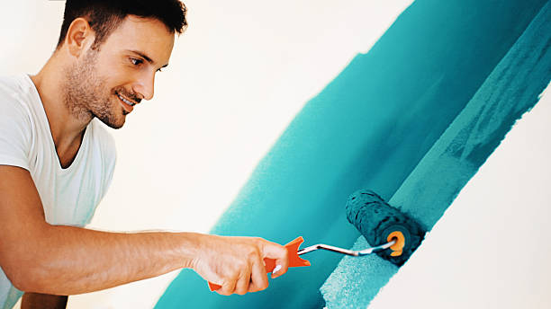 Best Basement Mold Removal  in Kalida, OH