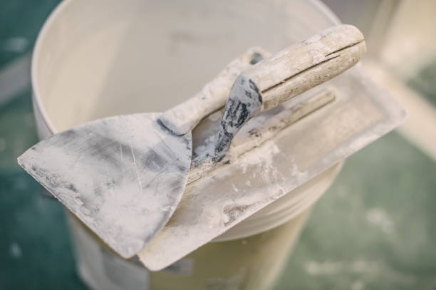 Best Asbestos and Lead Testing During Mold Inspection  in Kalida, OH