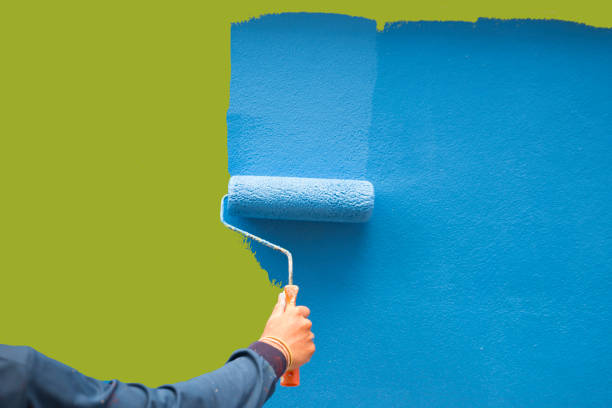  Kalida, OH Mold Removal Pros