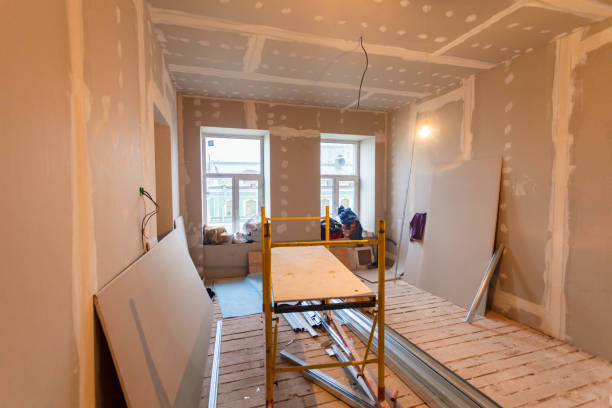 Trusted Kalida, OH Mold Removal Experts